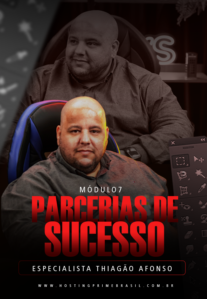 módulo 7 - parcerias de sucesso